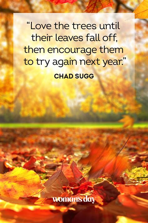 autumn of life quotes|beautiful autumn quotes.